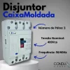 Disjuntor Caixa Moldada Tripolar 250a  JNG